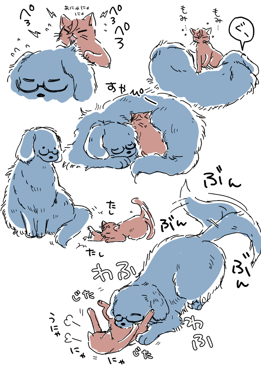 🦥🐢🦆 tweet media