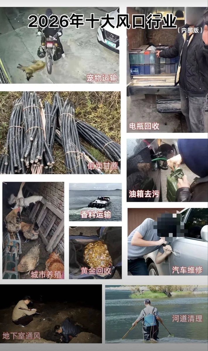天行一叶 tweet media