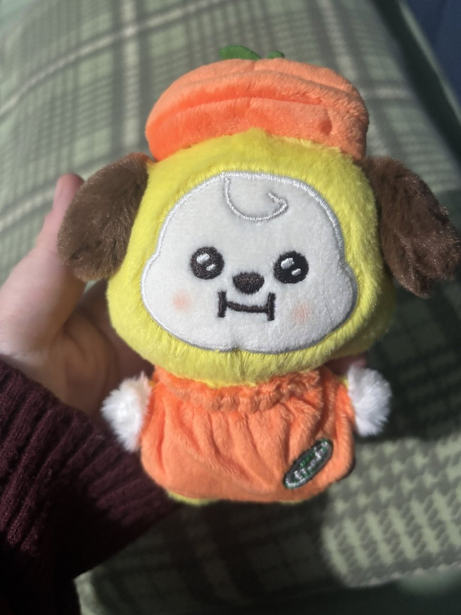 minfixation's tweet photo. meu chimmy abóbora chegou 🥺 https://t.co/D8fvcWZgaO