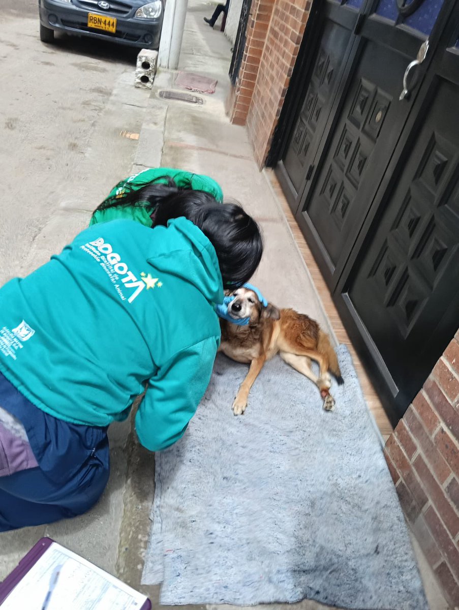 Protección Animal Bogotá tweet media
