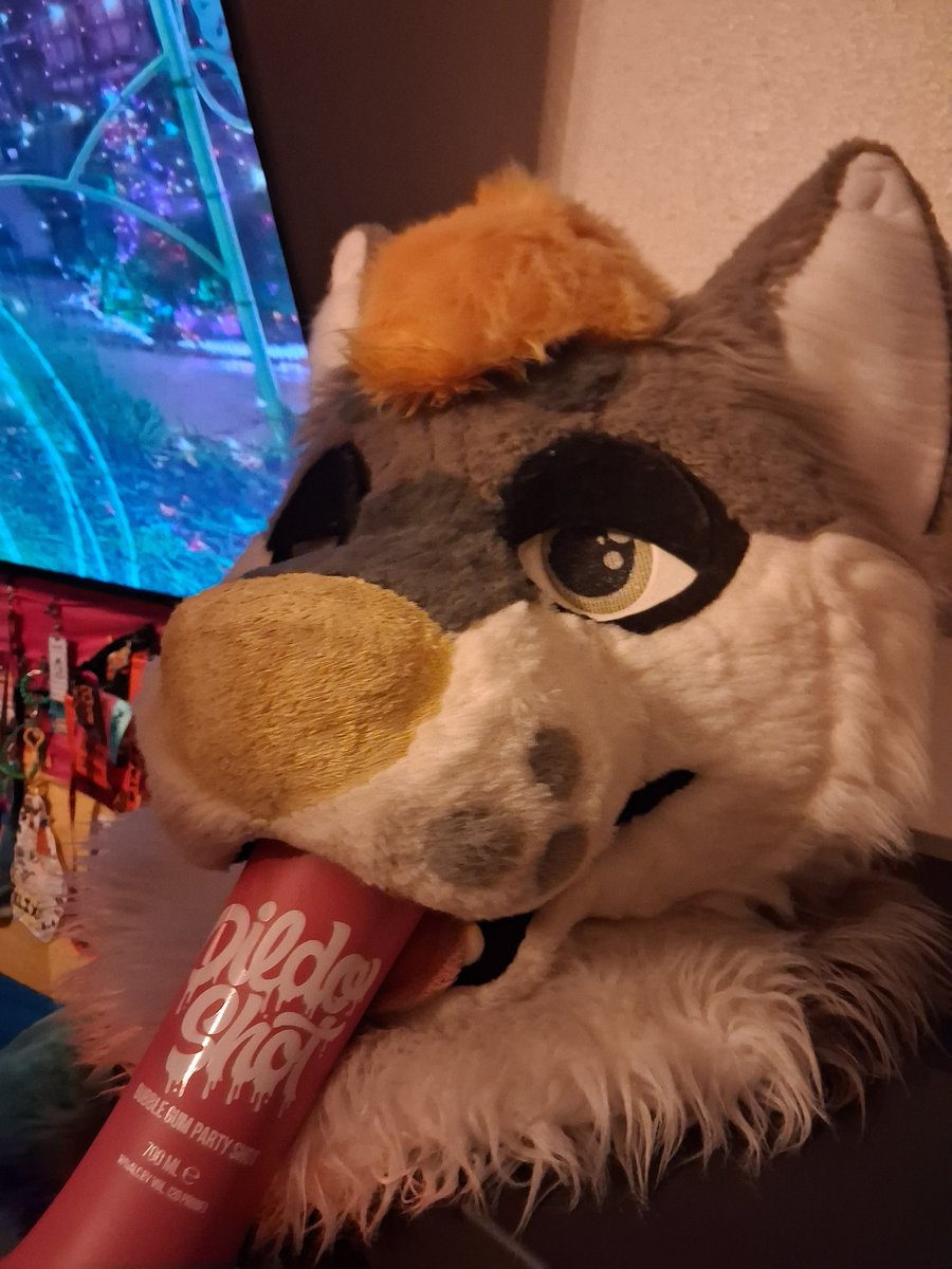 CheckersTolfAD's tweet photo. Took the alcohuzz (Achloholic Husky Fuzz (Furry huzz)) to the liquor store and he likes it

@MasterAshKechum https://t.co/yJgMFUDhGC