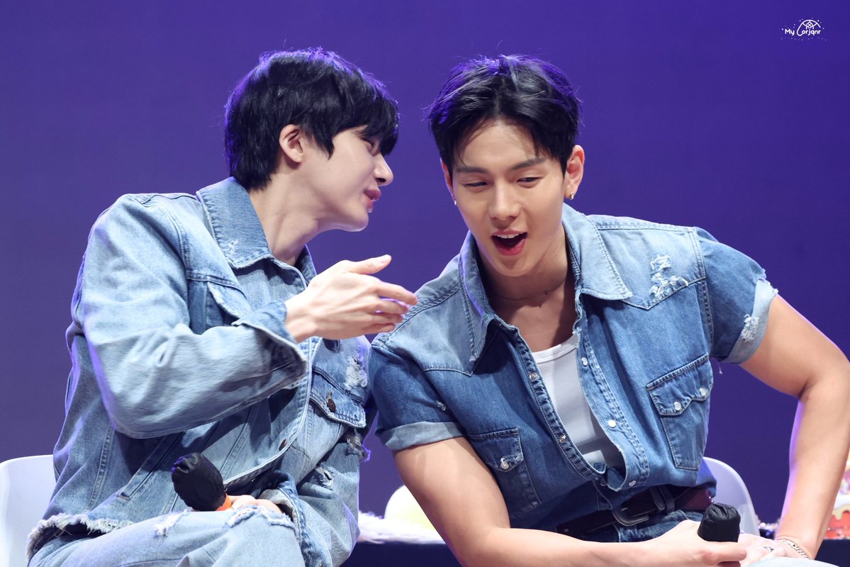 채거북 🐢 tweet media