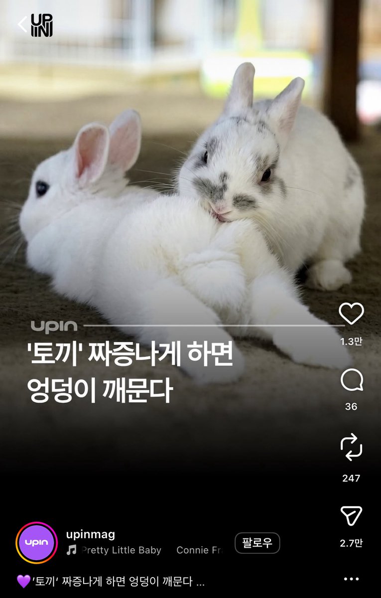 노예 (상태:텡사맥) tweet media