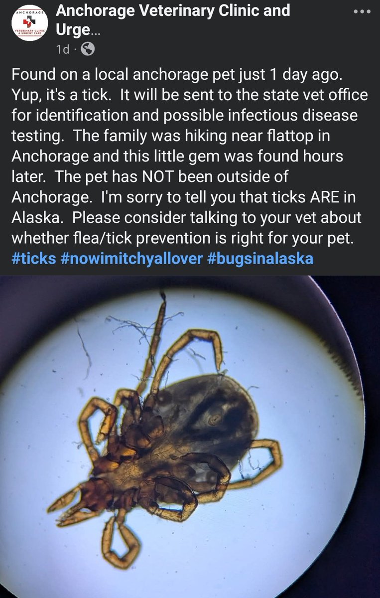 Justa_Guy907's tweet photo. To all my Alaska Peeps..  TICKS have been confirmed in Anchorage... Check yourself and any pets you take with you after every outing... https://t.co/6kf2u66WIy