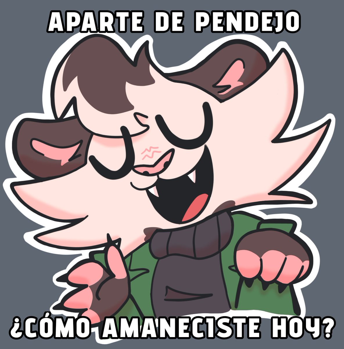 Don Gato 🐈🧡 tweet media