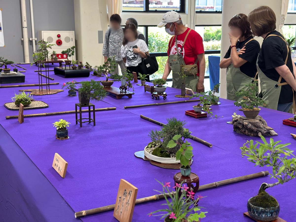 Nouji_center's tweet photo. 🌿 本日より
「遊藝祭（ゆうげいさい）」開催中🌿

盆栽・椿・蘭・おもとなど、さまざまな植物の展示が一堂に集まる「遊藝祭」を開催中です✨

さらに中央広場では、物販や飲食ブースも出店！植物好きの方はもちろん、ご家族やお友達とのお出かけにもおすすめです♪ https://t.co/o8gyHauEzq