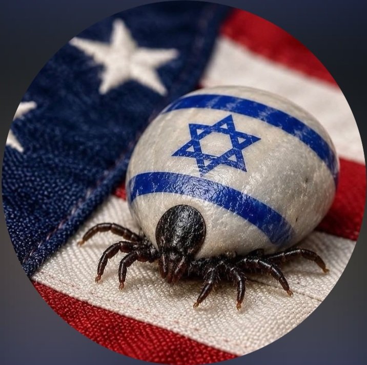 surmage's tweet photo. @KimDotcom Unfortunately, President Bibi &amp; VP Kushner will never put their BFF Trump in jail for doing their bidding.  
https://t.co/cLgveTwFXG
RIP USA.
https://t.co/ntdFFQoh59
https://t.co/X8BF7EN8sV https://t.co/226SkVGsPX