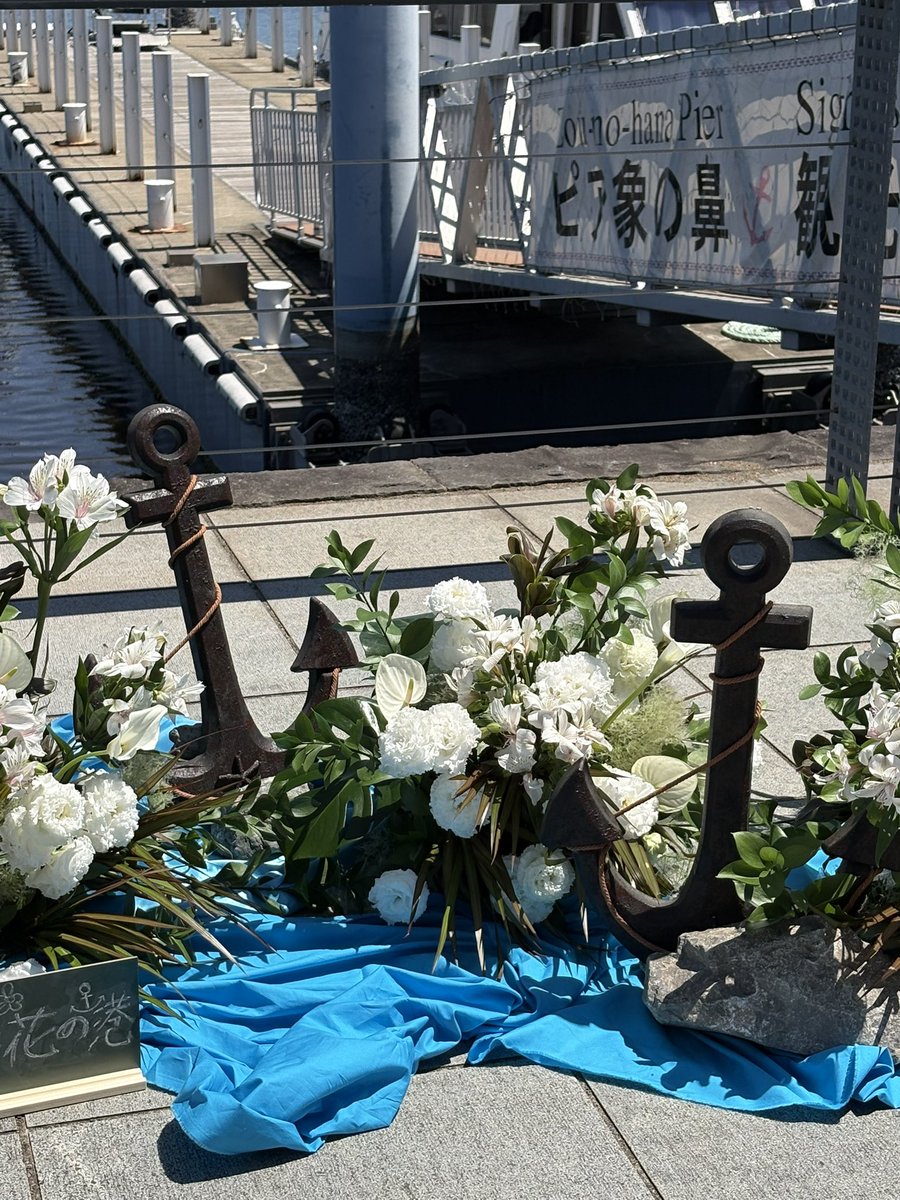 ハマフェス على X: 