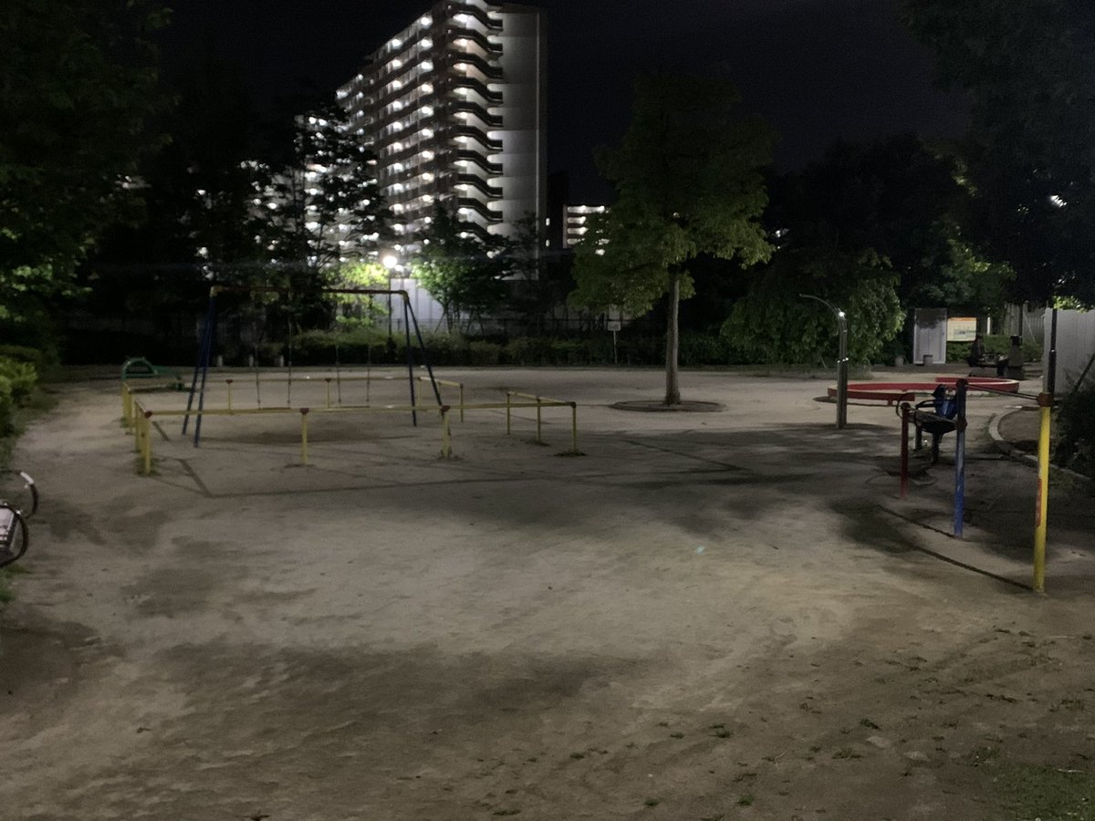 waffno's tweet photo. 夜の公園いいよね https://t.co/3DhxJZngGY
