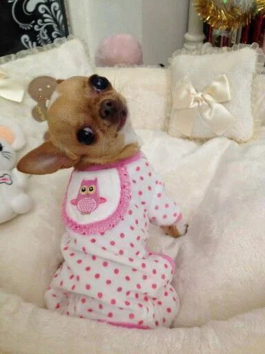 bubi ヾ(^-^)ノ tweet media