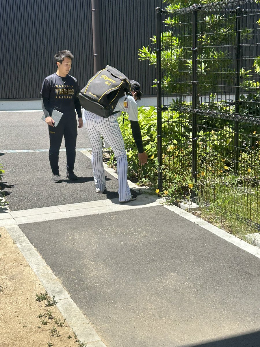 daily_kasai's tweet photo. 練習後、蝶を追いかける早瀬投手 https://t.co/xhJHwHYWYd