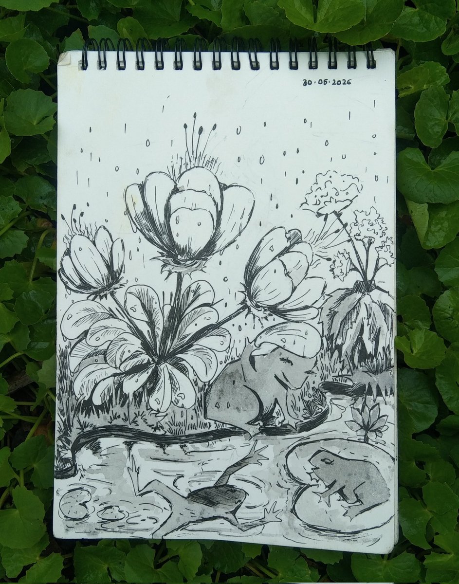 SignalSnail's tweet photo. Today's page 🌧️✨
....

#sketchbook #inkdrawing
#natureart #snailsignal https://t.co/TAkOvbZ3xz