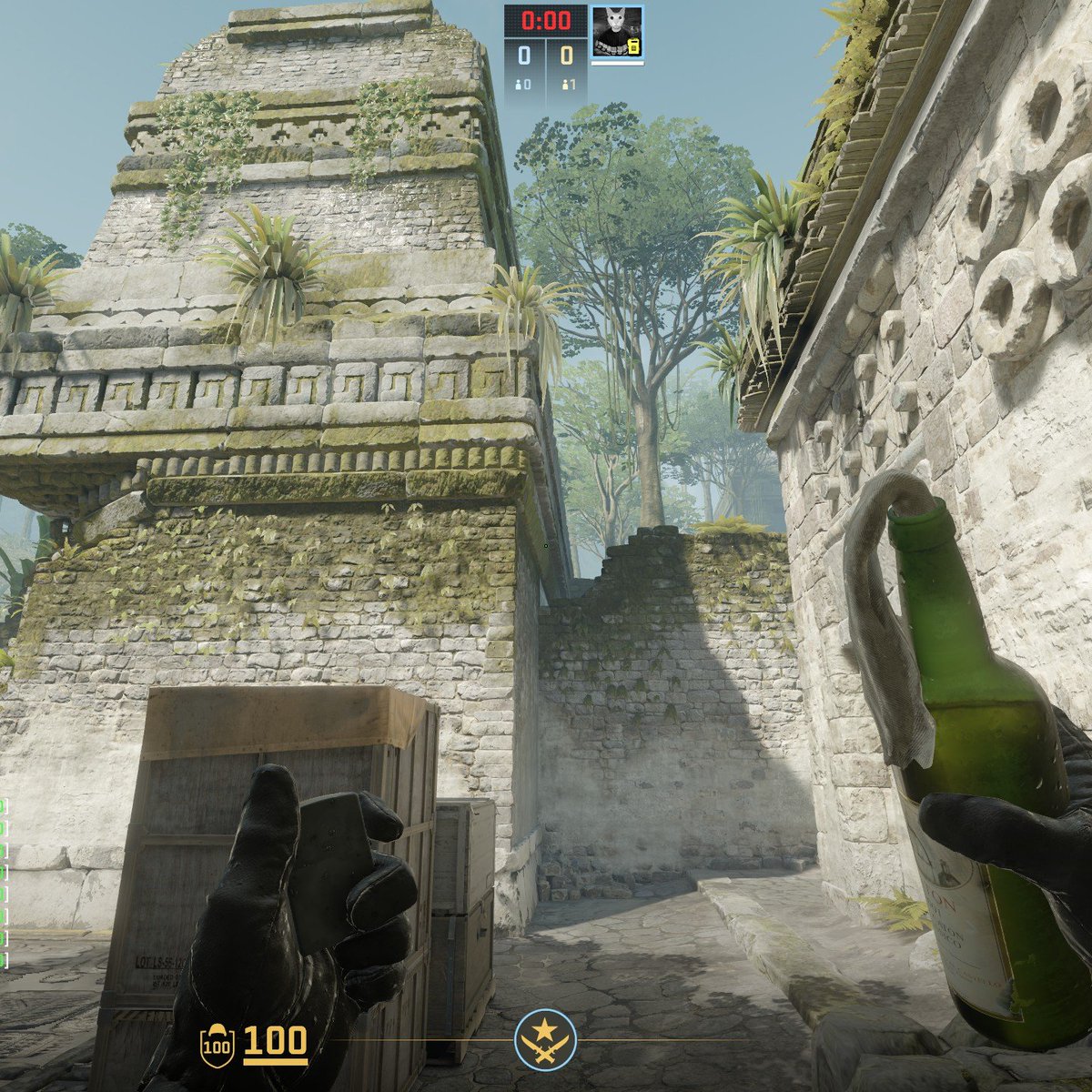 ItsBrokas's tweet photo. Missing textures in Ancient let you molly temple through the wall. @CounterStrike https://t.co/X8Lbv6N9yi