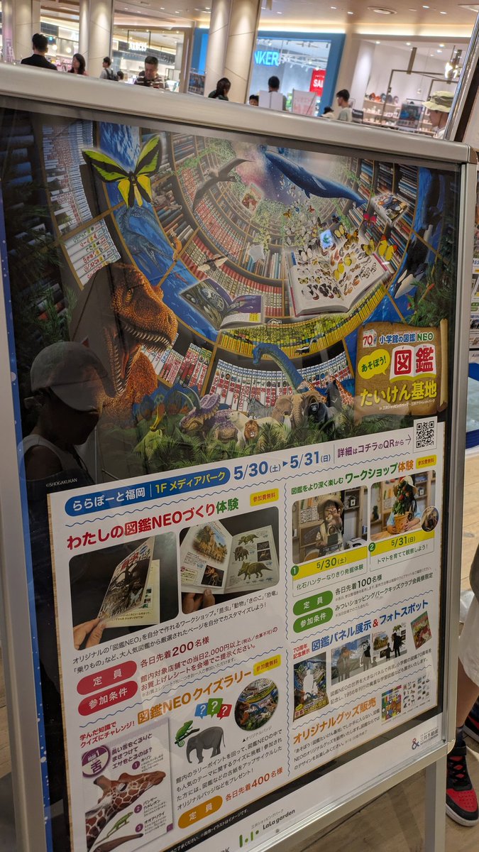 特攻蝶DimWryon@クチート研究所｜MawileLab tweet media