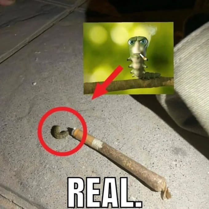 shitpostverdade's tweet photo. https://t.co/vtjHKE3uuH
