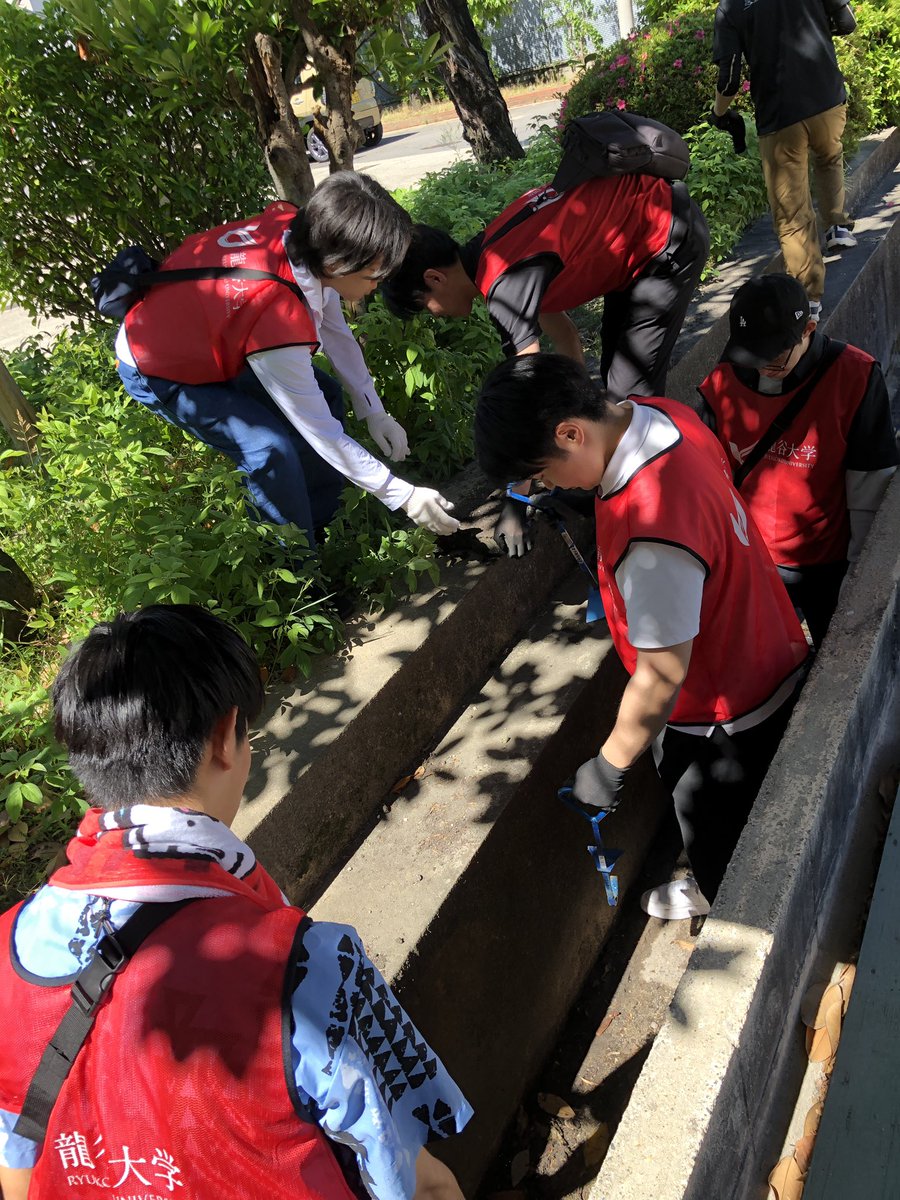ryuvnc's tweet photo. 【Ryuボラ！砂川学区一斉清掃②】
校外組は、3グループに分かれて地域の方に経路を誘導してもらい、交流しながら和やかにゴミ拾い😊
一方、校内組は力仕事の溝掃除。蓋を持ち上げ、泥をかき出し、土嚢に詰める作業を協力して行いました💪 https://t.co/Mz2y3RY0ZN