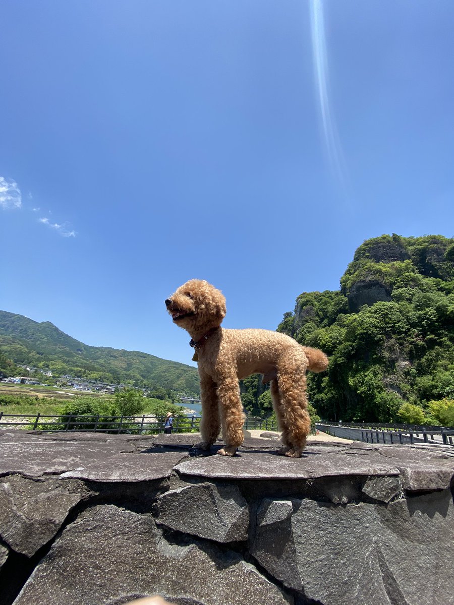 ichi755's tweet photo. 散歩3️⃣
#帰ったらごはん https://t.co/oTBQ8vmenJ