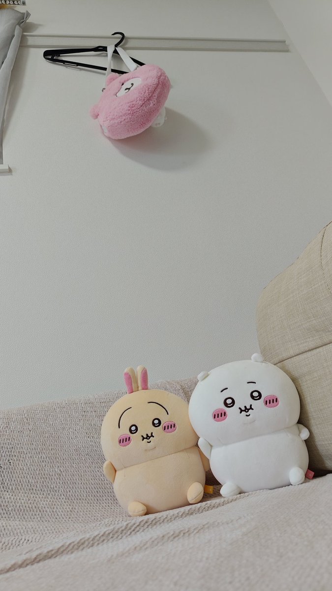 おシンこ🐰🎮シンちゃんネルEveryにゃす tweet media