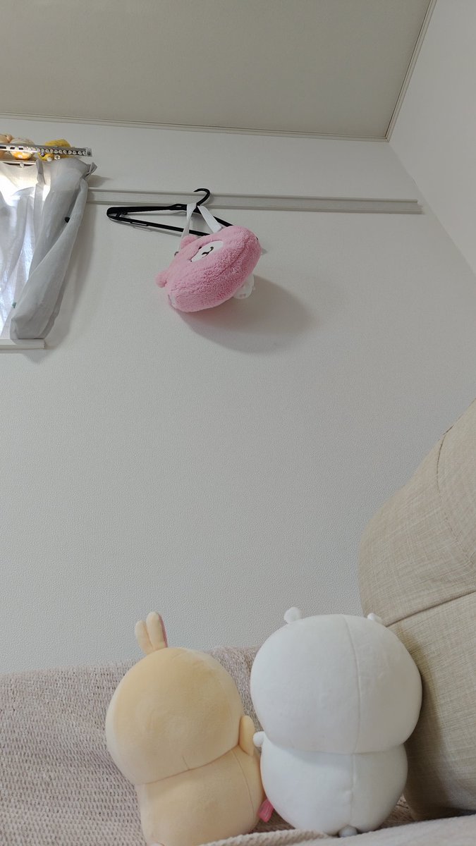 おシンこ🐰🎮シンちゃんネルEveryにゃす tweet media