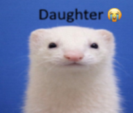 FlintDeer's tweet photo. https://t.co/79s6D14eMU