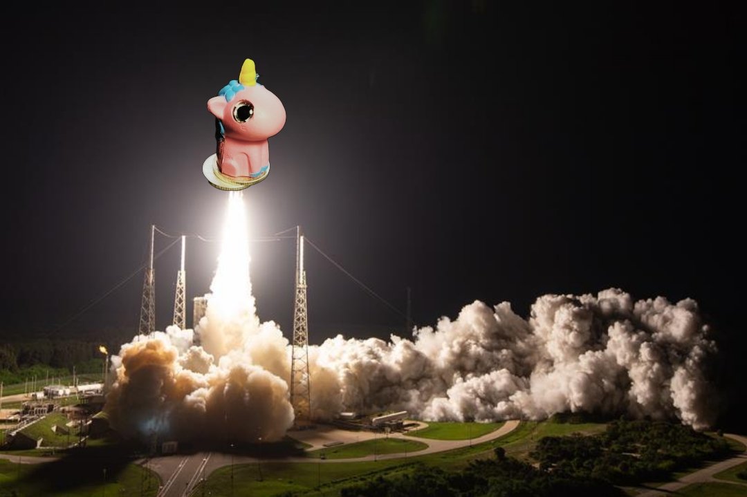 Dolla Llama tweet media