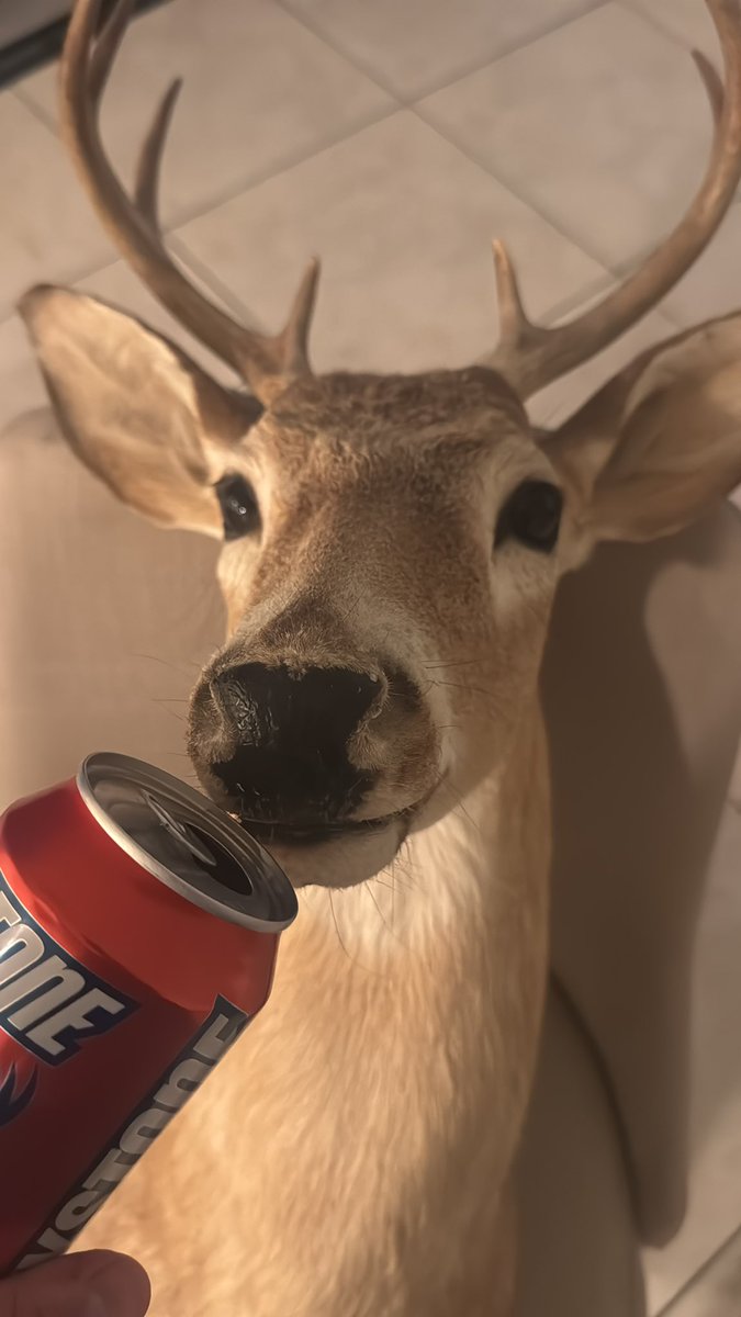 IuSloth's tweet photo. Bro needed a pick me up https://t.co/c56TYDOx1k