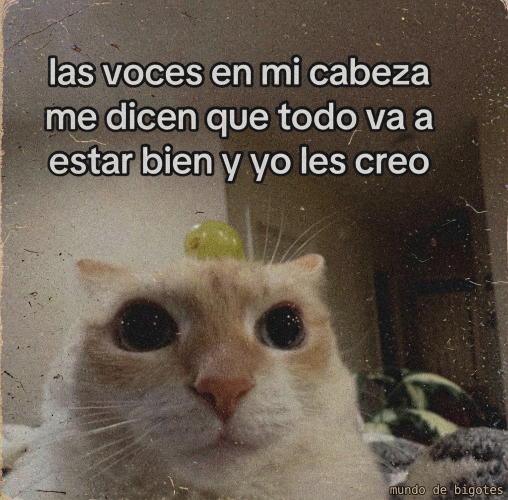 Mundo de Bigotes tweet media