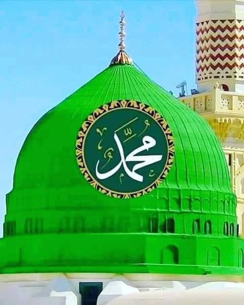 Naila Chowdhary tweet media