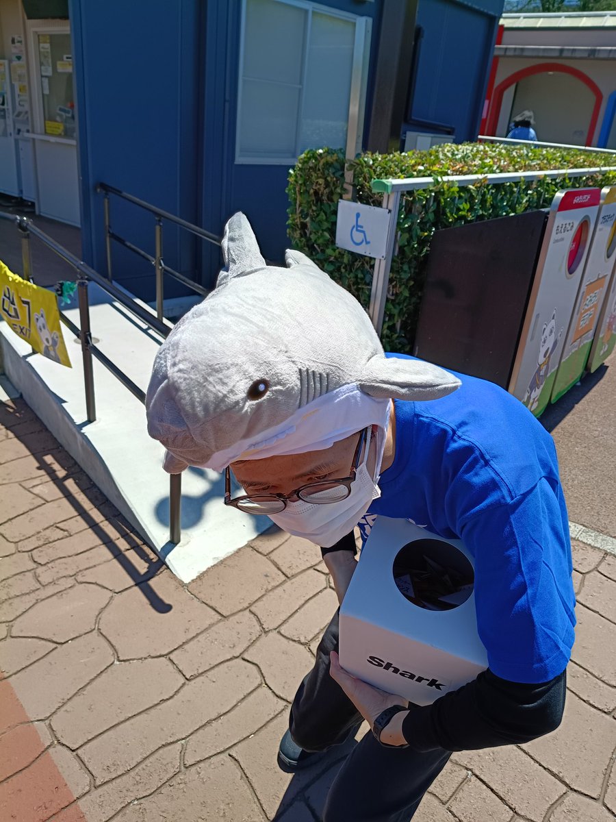 isomu728's tweet photo. #見つけてシャーク https://t.co/jTtXVkKxDo