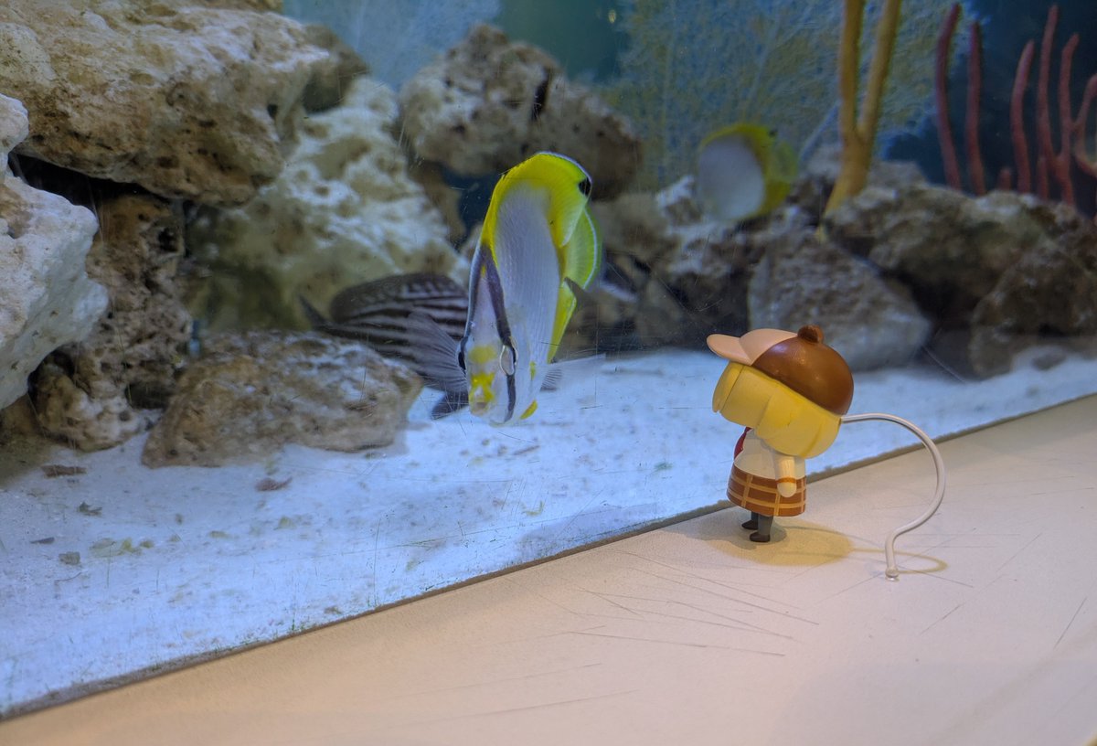 EnterprisesTorp's tweet photo. Smol Ame followed me to a museum.

#ameliaRT https://t.co/GjnDf1K1WQ