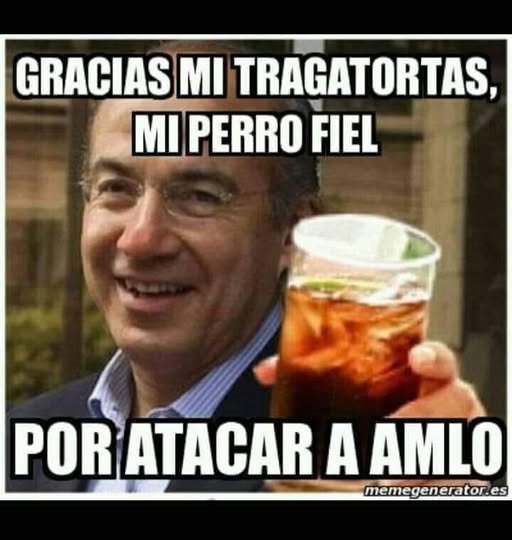 jose miguel flores moreno tweet media