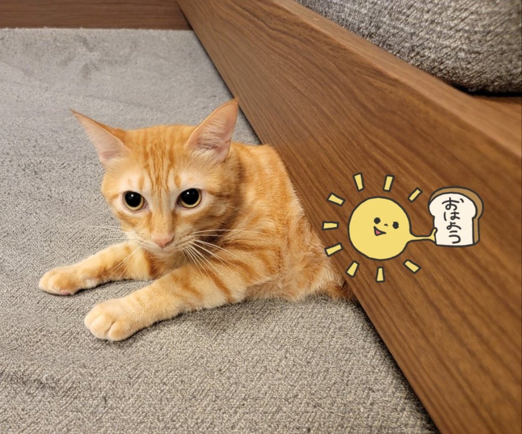 messer_daisuke's tweet photo. おはようございます☀️
まさかの連日頓服インですが元気です。
今日はジム活からのバンドリハ。
身体使ってくぜー💪 https://t.co/G5OOs6ecPK