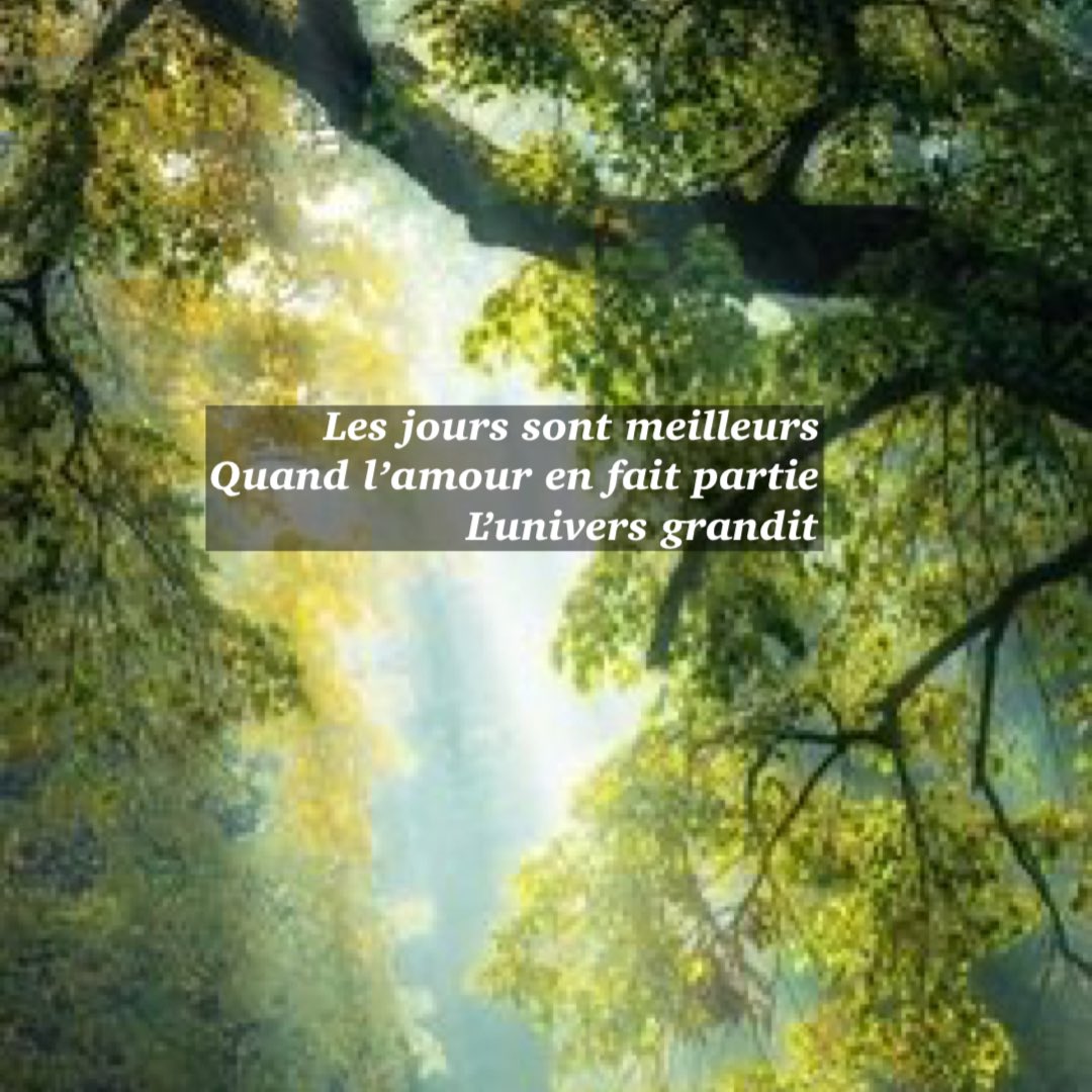 JacquesMercier's tweet photo. Un excellent samedi ! ( Nous avons rendez-vous dans Pause média sur télé RTBF Une vers 11h50)
[#haiku, #amour, #ligue_des_optimistes, #poésie] https://t.co/LOO31NsCPL