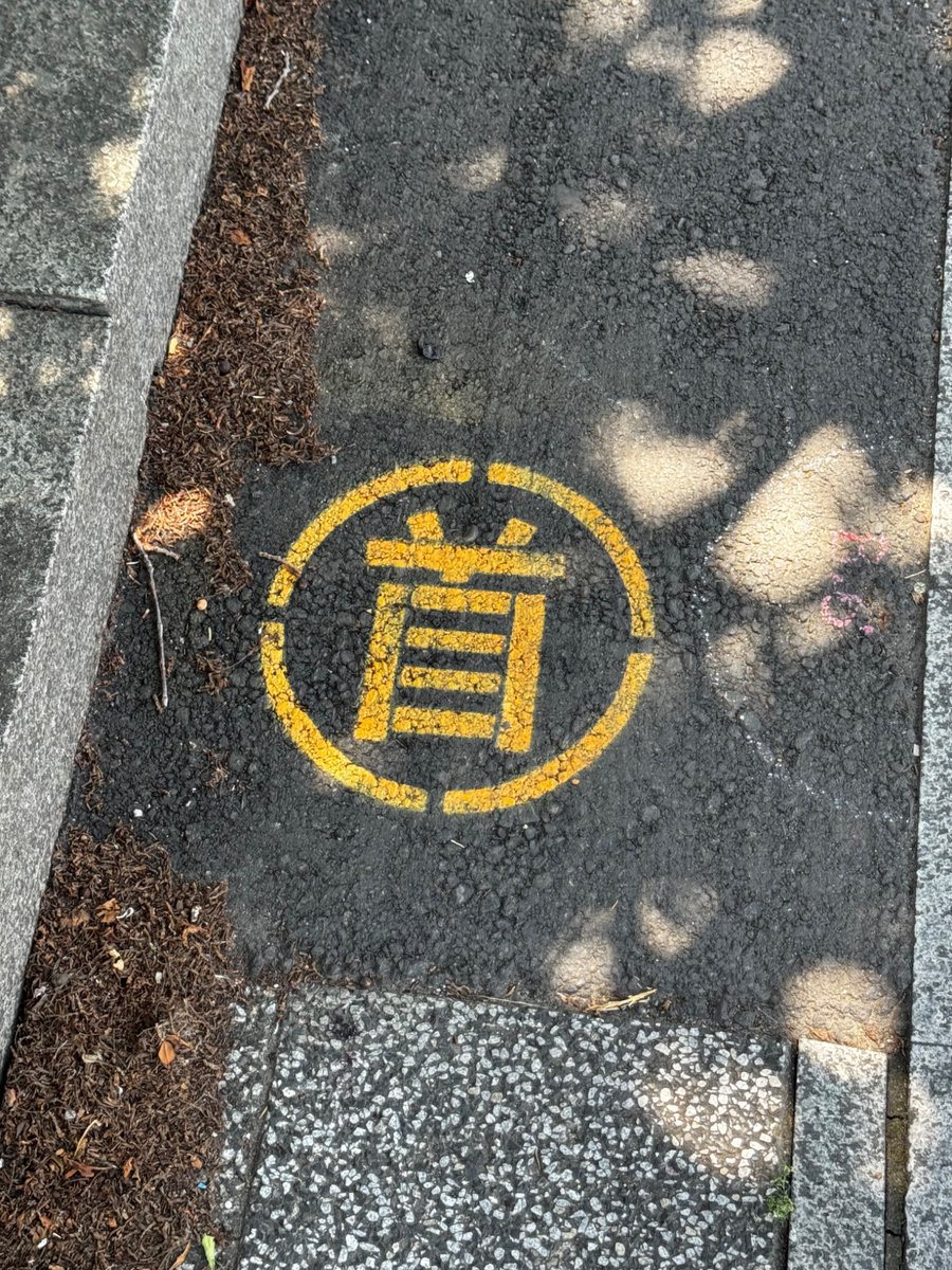 maple_card's tweet photo. 見える見える https://t.co/qTo1ifYwJE