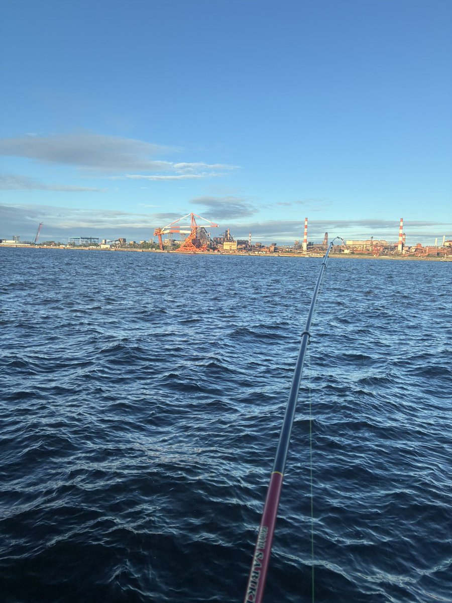 SMALLEST0722's tweet photo. 西公園でシリヤケイカ釣り。朝方が1番良かった^_^  餌釣り🎣 https://t.co/OXnIhTDzf4