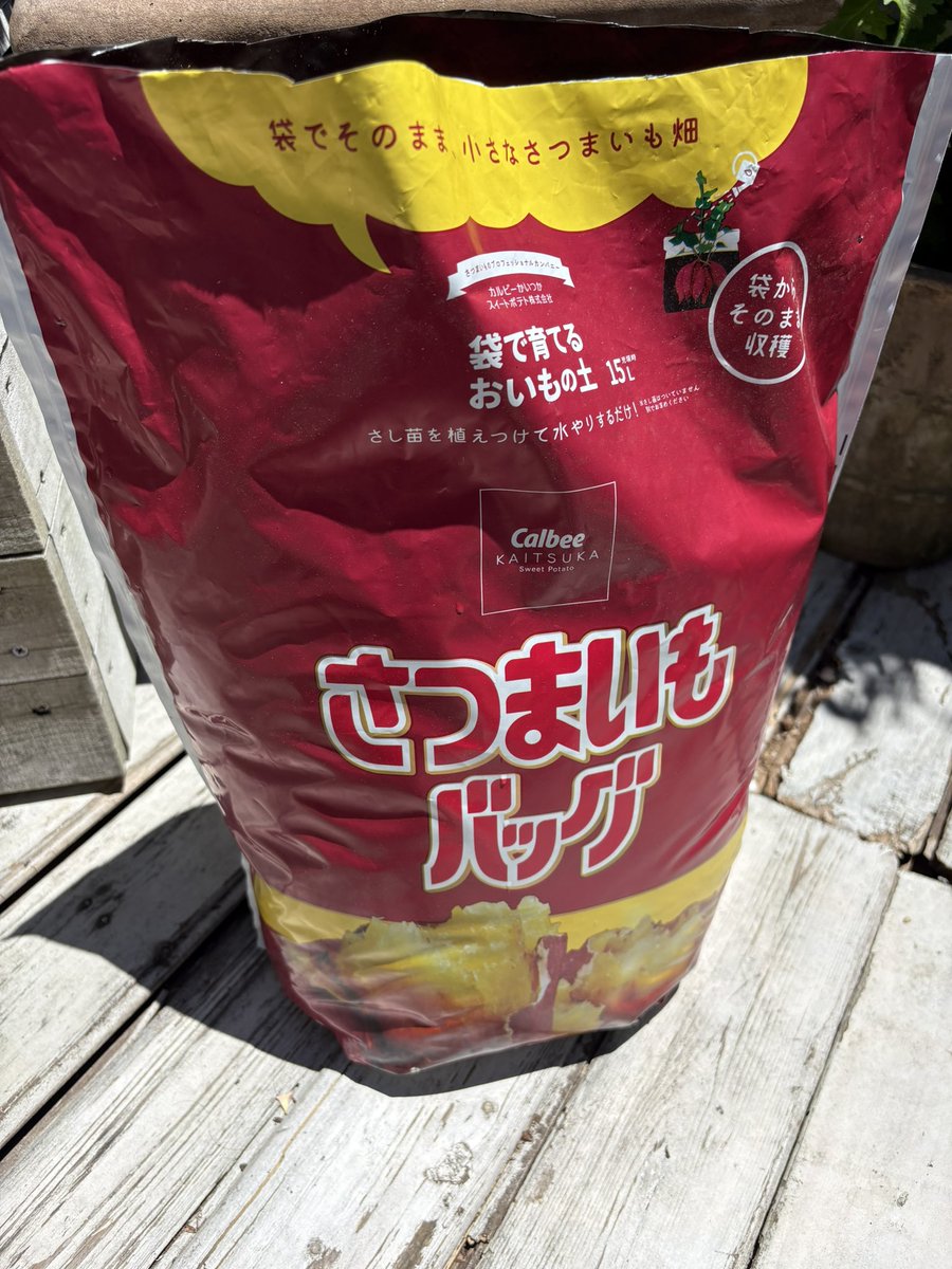 加能裕一郎 tweet media