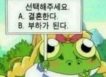 방울 tweet media