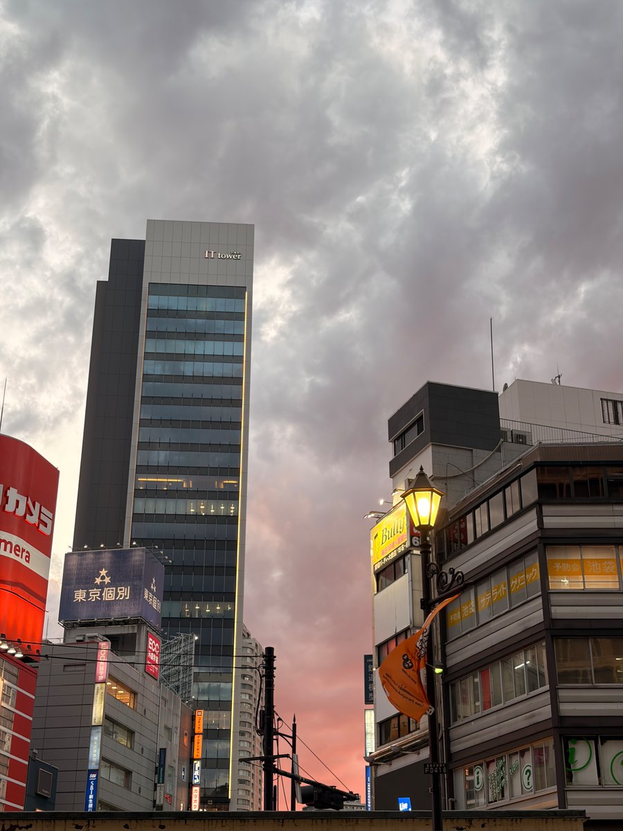 メリ tweet media