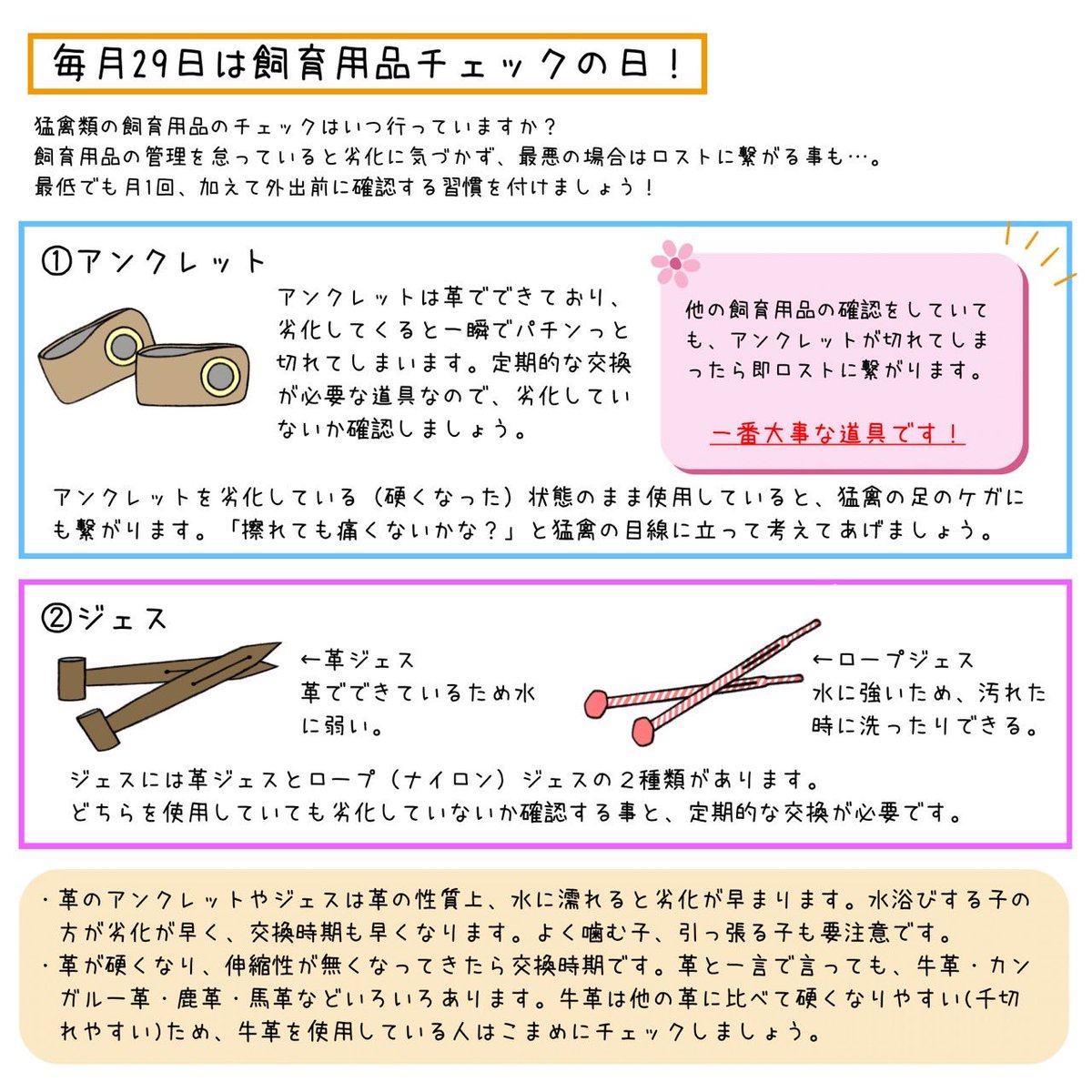 コキンメふくちゃん tweet media