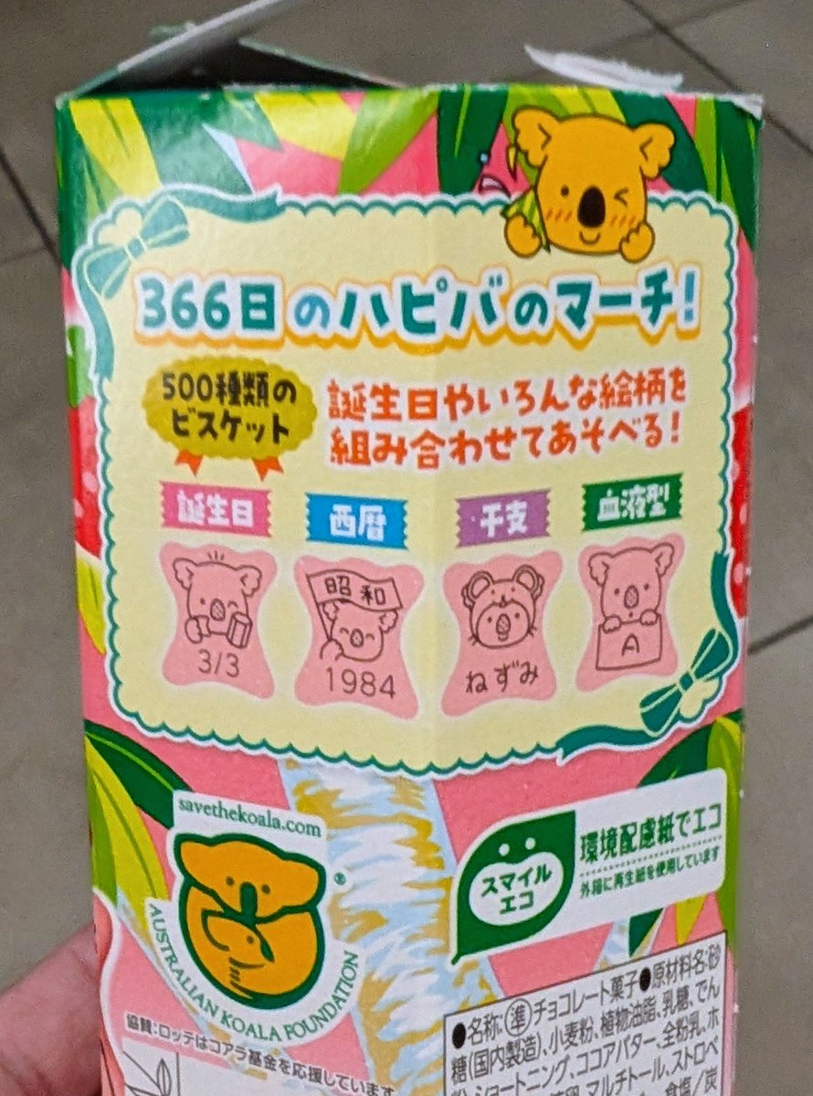 yukihashi tweet media
