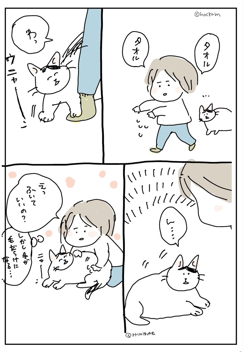 気の利くでかいネコ、そよぽん

猫漫画です。 