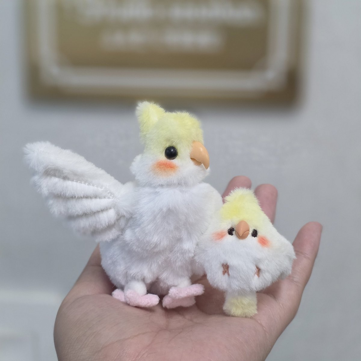 소소한 인형공방💕 tweet media