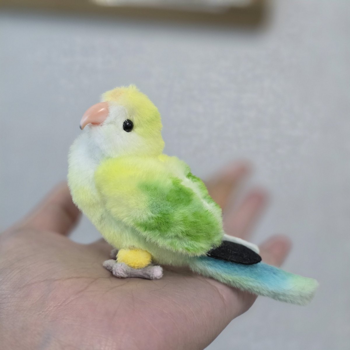 소소한 인형공방💕 tweet media