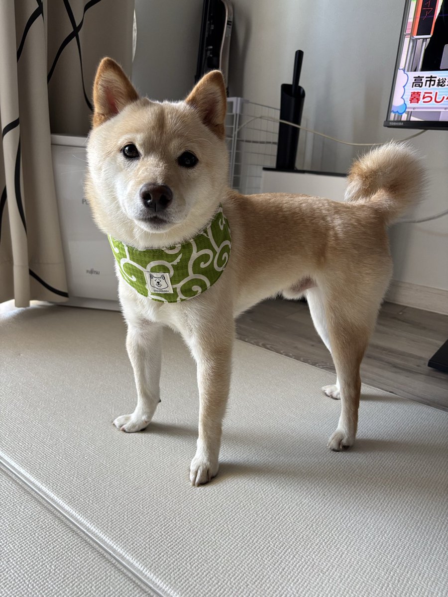 capy1225's tweet photo. 顔 https://t.co/4zzzxHxXg0