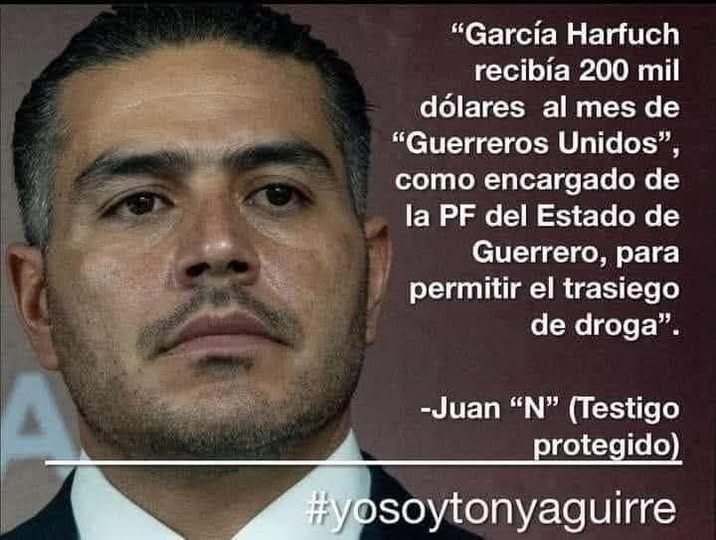 constanza luna tweet media