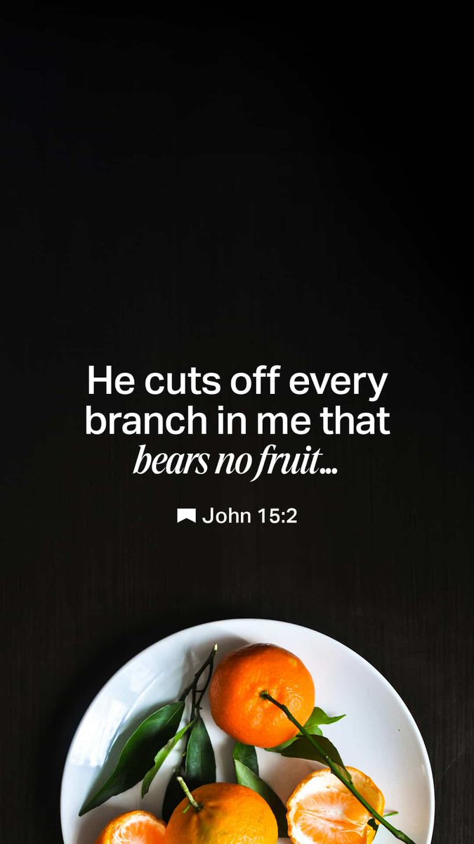 ToddPac's tweet photo. John 15:2 #bearfruit https://t.co/lDF4wSwLpD