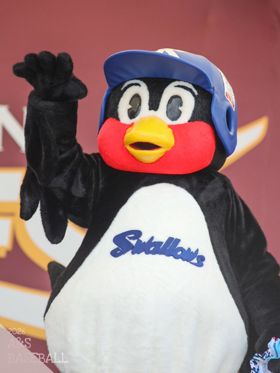 仙台に再び舞い降りたつば九郎先生🐧 2026/05/30 楽天モバイル 最強