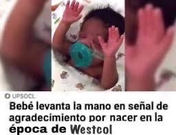 lappamper's tweet photo. @WestCOL la puta cabra por siempre https://t.co/FRAm2kGPMw