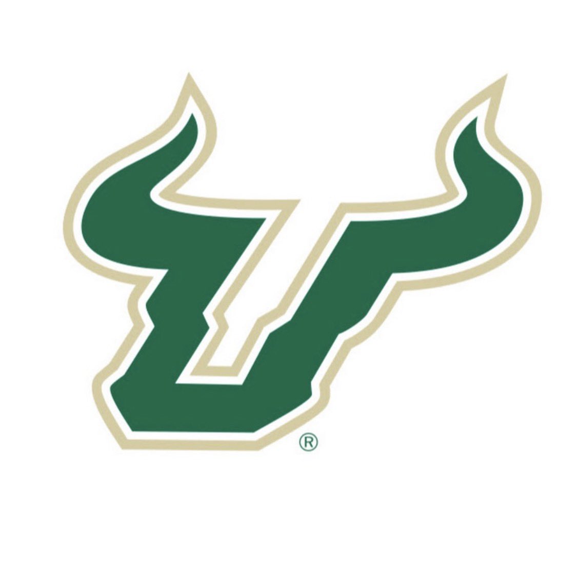 _iamkingg's tweet photo. Excited to receive an offer from University of South Florida! Grateful for the opportunity. #AGTG https://t.co/2QMUAhJEmE
