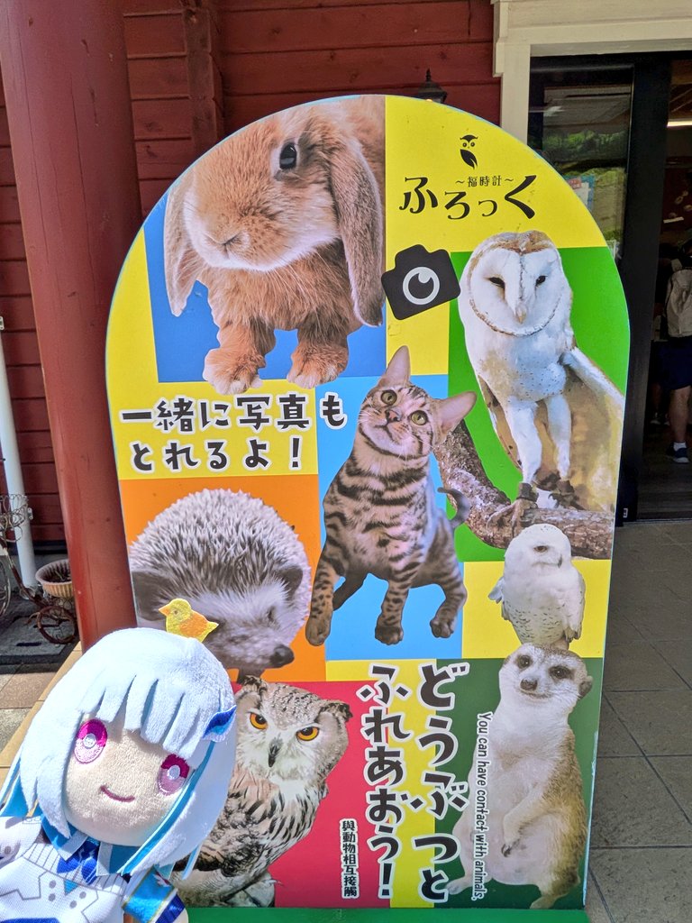 YAMAV10's tweet photo. フクロウの手触りめちゃ良かった！
後動画で気になってたポテチはご飯貰える場所でずっとスタンバってました https://t.co/2ubKpLRaHL